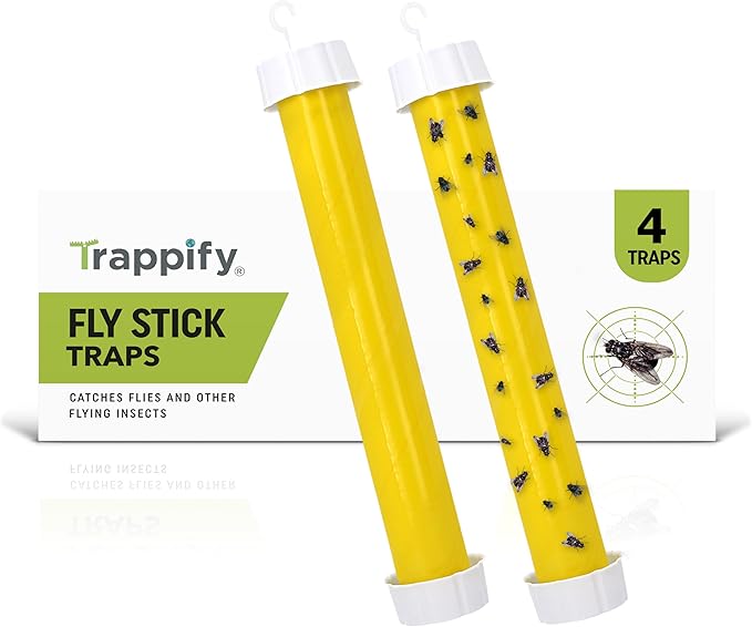 Trappify Hanging Fly Traps Outdoor: Fruit Fly Traps for Indoors | Gnat Trap | Gnat Traps for House Indoor | Fly Trap Indoor - Disposable Sticky Fly Trap for Indoor House Pest Control (4 Pack)