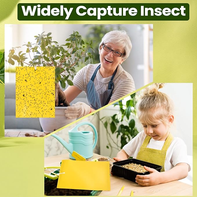 Qualirey 700 Pcs 6 x 8 Inch Yellow Sticky Traps for Plant Double Sided Sticky Trap for Gnats with Twist Ties Sticky Fly Traps for Fruit Insect Fungus Bugs Indoor Outdoor