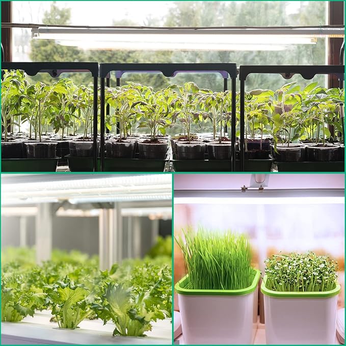 T5 Grow Lights 5000K Full Spectrum,1.4FT (2pcs x 10 Watts) Plant Growing Lamp,End-to-End Connectable Led Light Strips for Indoor Plants Succulents Flowers Growing