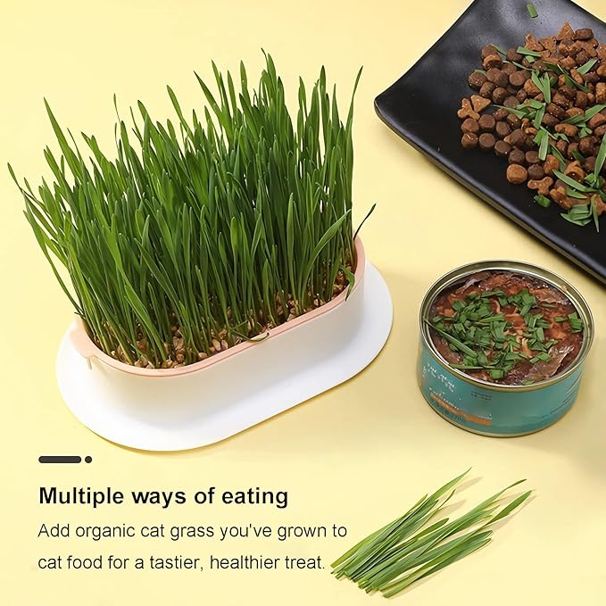 Cat Grass Planter (No Seeds Included) Wheatgrass Planting Trays Hydroponic Cat Grass Growing Kits for Indoor Cats Soilless Organic Nursery Box Pet Grass Pot (F)