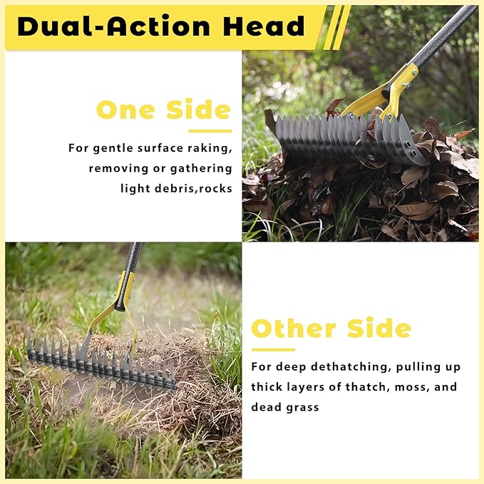 Thatch Rake,55 Inch Garden Thatching Rake for Grass Removal, 15 Inch Wide Heavy Duty 19 Teeth Steel Metal Garden Leaf Rakes,Landscaping Raking Garden Tools for Lawn Care Loosening Leveling Soil Mulch