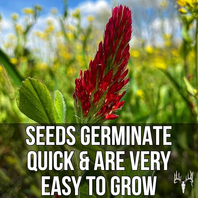 Branson’s Buffalo Blend, 12LB EcoPack, Whitetail Food Plot Seed for Deer, Turkey, Pheasant, Dove, Elk & Duck, Plant Seeds Grow Forage to Feed & Attract Wildlife to Hunting Plots, No Till