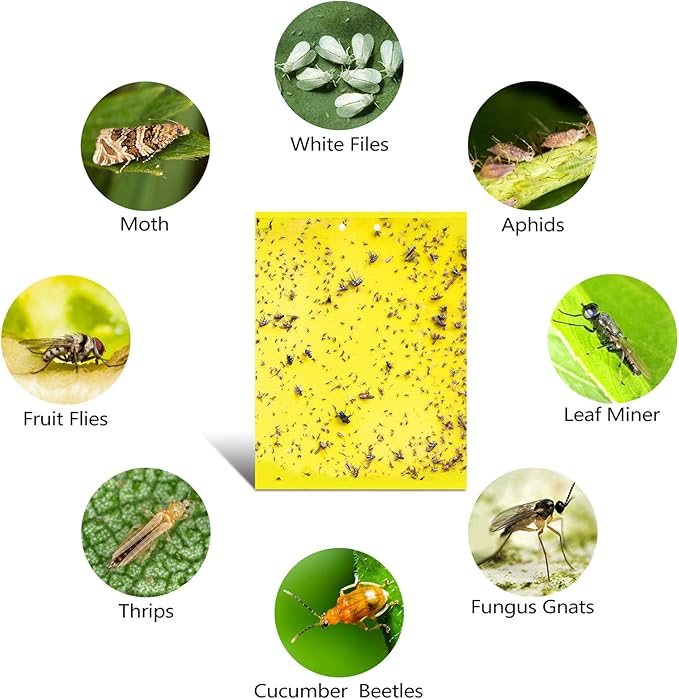 30-Pack Dual-Sided Yellow Sticky Traps for Flying Plant Insect Such as Fungus Gnats, Whiteflies, Aphids, Leafminers, etc (6x8 Inches, Included 30pcs Twist Ties)