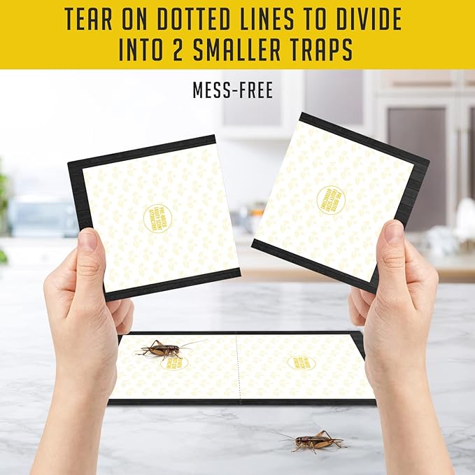 Cricket Traps Indoor (12 Traps) Extra Large Bug Sticky Traps - Non-Toxic Extra Sticky Glue Traps for Bugs - Pre-Baited Fruity Scent Crickets Bug Trap Indoor - Insect Glue Traps for Bugs - Trap a Pest