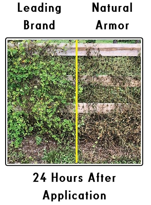 Natural Armor Weed and Grass Killer All-Natural Concentrated Formula. Contains No Glyphosate (320 OZ. 2.5 Gallon)