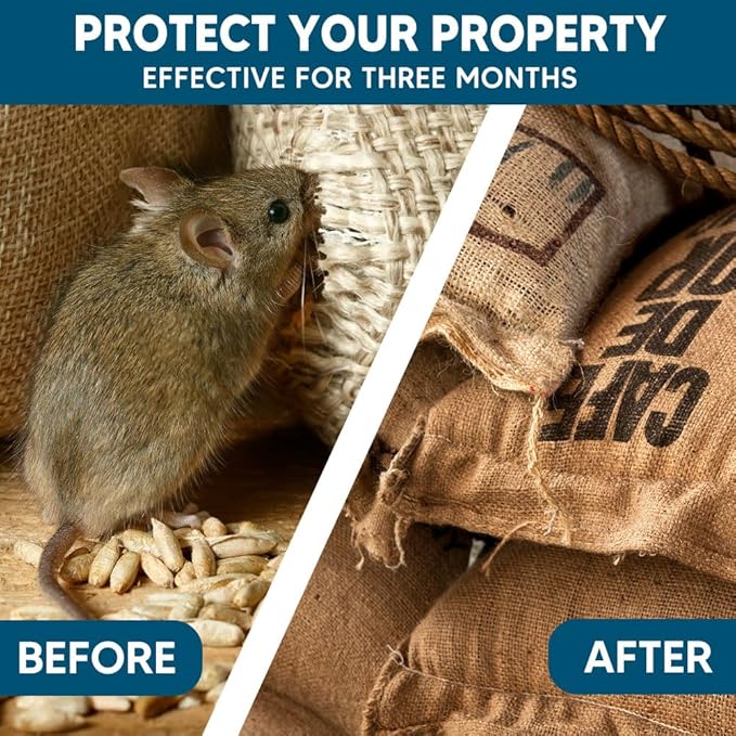 Rodent Repellent, Mouse Repellent, Mice Repellent Indoor, Rat Repellent, Mouse Deterrent for Car, Peppermint Balls for Mice, Keep Mice Out of Garage, Moth Balls for Outdoor Use-10Pcs