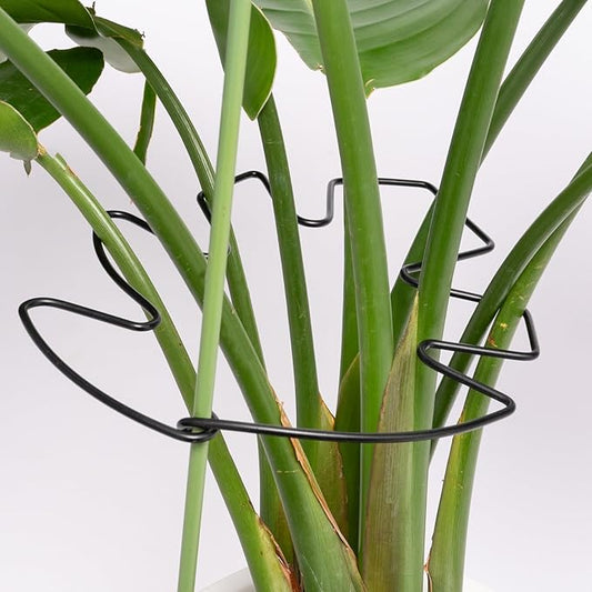 5PCS Black Monstera Plant Stem Support 9x7.6in - Adjustable & Durable Indoor Plant Stake for Cactus and Climbing Plants - Ideal Leaf Support for Gardening & Home Decor