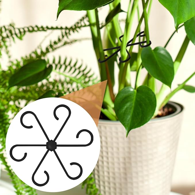 6PCS Plant Stem Support, 3 Sizes Climbing Houseplant Stem Holder, Plastic Reusable Flower Trellis Stem Hook Plant Care Growth Accessories for Flower Plants Indoor Outdoor - Black, 5.28"/4.55"/3"