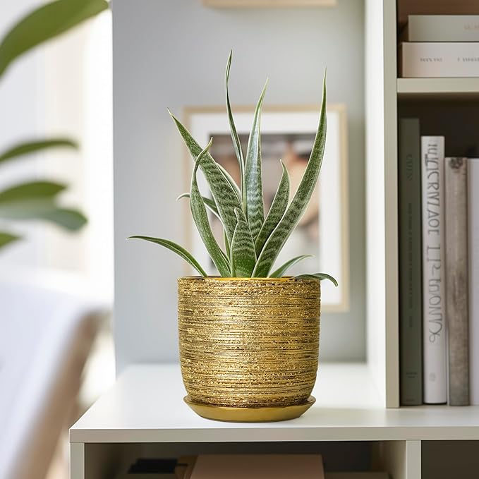 Succulent Pot 5 Inch - Ceramic Plant Pot for Indoor Flowers, Decorative Round Indoor Planter with Drainage Hole and Saucer, Plant Lover Gifts, Patio Office Home Room Decor, Gold