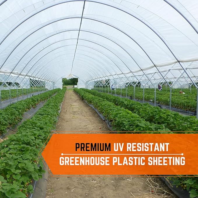 Farm Plastic Supply - Clear Greenhouse Plastic Sheeting - Ultra Durable - 8 mil - (50' x 25') - 4 Year UV Resistant Polyethylene Greenhouse Film for Gardening, Farming, Agriculture