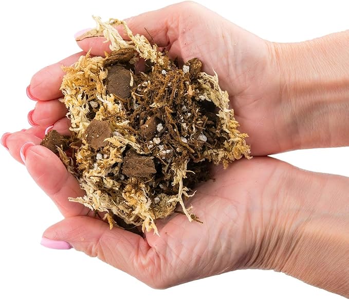 Premium Orchid Mix by GARDENERA | Fern + New Zealand Pine Bark + Sphagnum Moss + Perlite | Best for Growing and Repotting Orchids - 4 Quart Bag