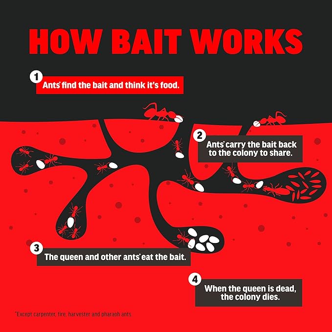 Amdro Ant Killer for Outdoor Home Perimeter, 12oz