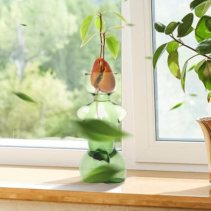 Propagation Vases for Plants Plant Propagation Jars Unique Body Avocado Vase Glass Planter Perfect for Seed Starting Water Rooting and Home Decor Gift for Father