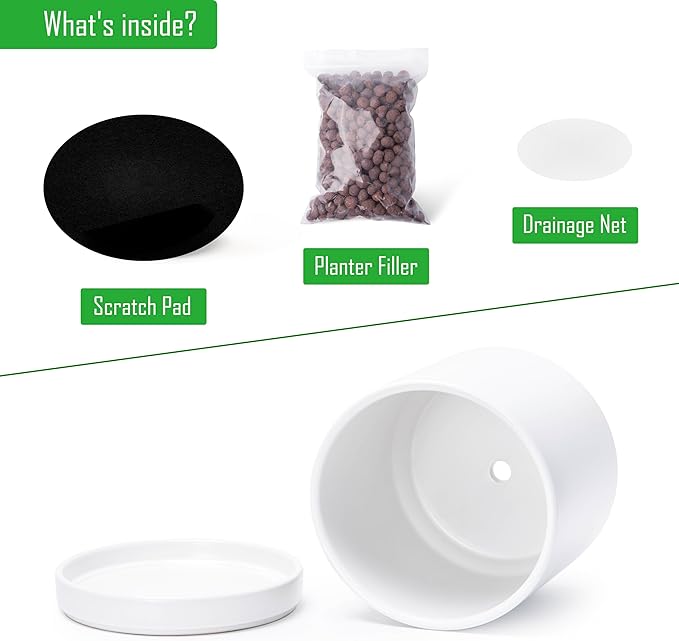 D'vine Dev Set of 2 Plants Pots, 8.2 Inch Ceramic Planter Pot for Plants with Drainage Hole and Saucer, White, 94-V-D-1