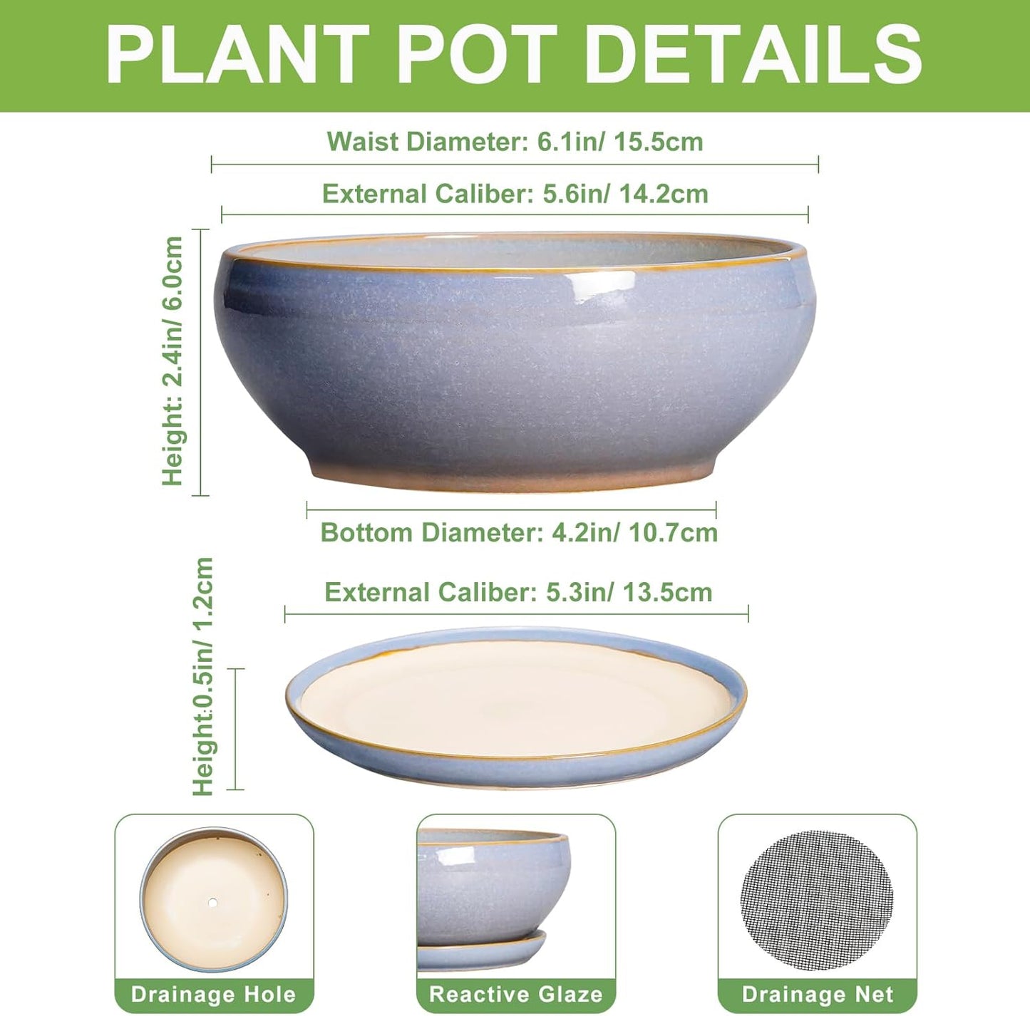 SQOWL Bonsai Tree Pots Small - 6 Inch Ceramic Succulent Planters with Drainage Hole and Saucer, Shallow Pot for Indoor Outdoor, Round Cactus Planters, Living Room Decor, Gifts for Plant Lover, Blue