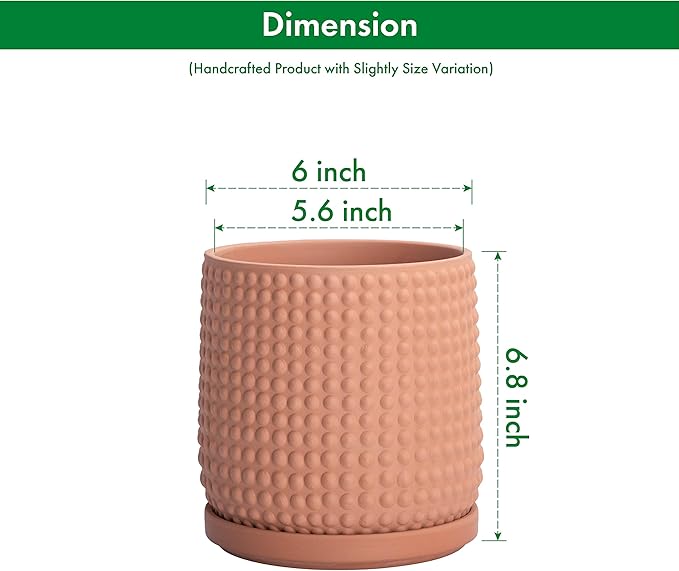 D'vine Dev Set of 2 Ceramic Plants Pots, 6 Inch Beaded Stoneware Flower Pot for Plants with Drainage Hole and Saucer, Terracotta, 27-E-X-7