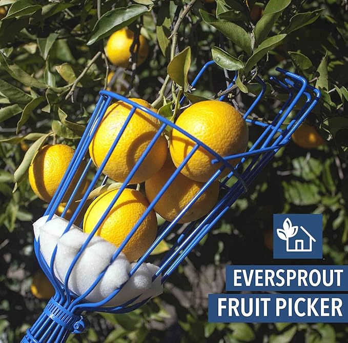 EVERSPROUT Twist-On Fruit Picker Basket, Twists onto Standard US Threaded Pole (3/4-inch ACME), Fruit Picker Head Basket, Fruit Harvesting Tool, Apple, Mango Picker etc. (Head Only, Pole Not Included)
