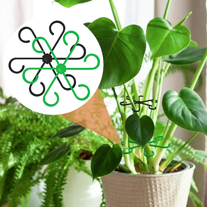 8PCS Plant Stem Support, 4 Sizes Climbing Houseplant Stem Holders, Plastic Reusable Flower Trellis Stem Hook Plant Care Growth Accessories for Flower Plants Indoor Outdoor - Black, Green