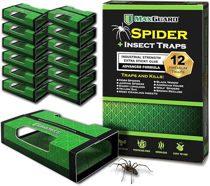 MaxGuard Spider + Insect Traps (12 pcs Box Trap) | Non-Toxic Extra Sticky Glue Traps, Kill Black Widow Hobo Brown Recluse Spiders and Other Crawling Bugs & Insects |