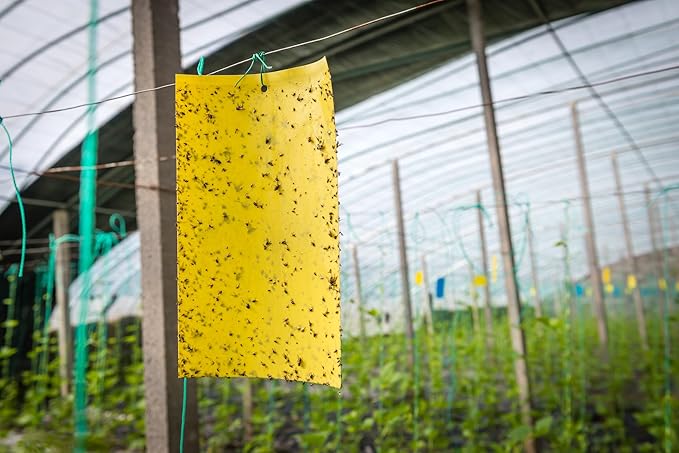 30Pcs Dual-Sided Yellow Sticky Traps for Plant Gnats - Waterproof Fly Paper Outdoor Indoor for Fungus Gnat Trap, Fly Tape Outdoor for Whiteflies, Aphids, Leafminers, Fruit Sticky Traps
