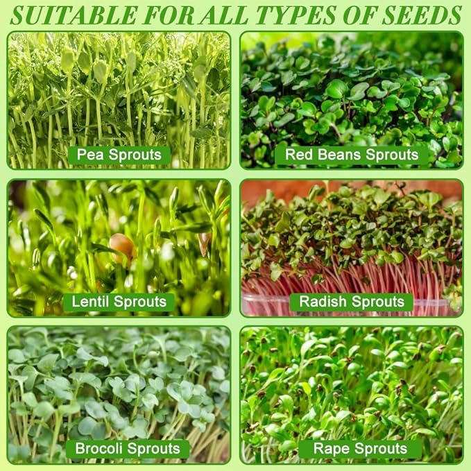 Picowe Stainless Steel Sprouting Trays Seed Sprouting Kit with Stainless Steel Mesh Tray Seed Starter Tray Seed Sprouting Kit (3pack, 10.4 x 7.7inch)