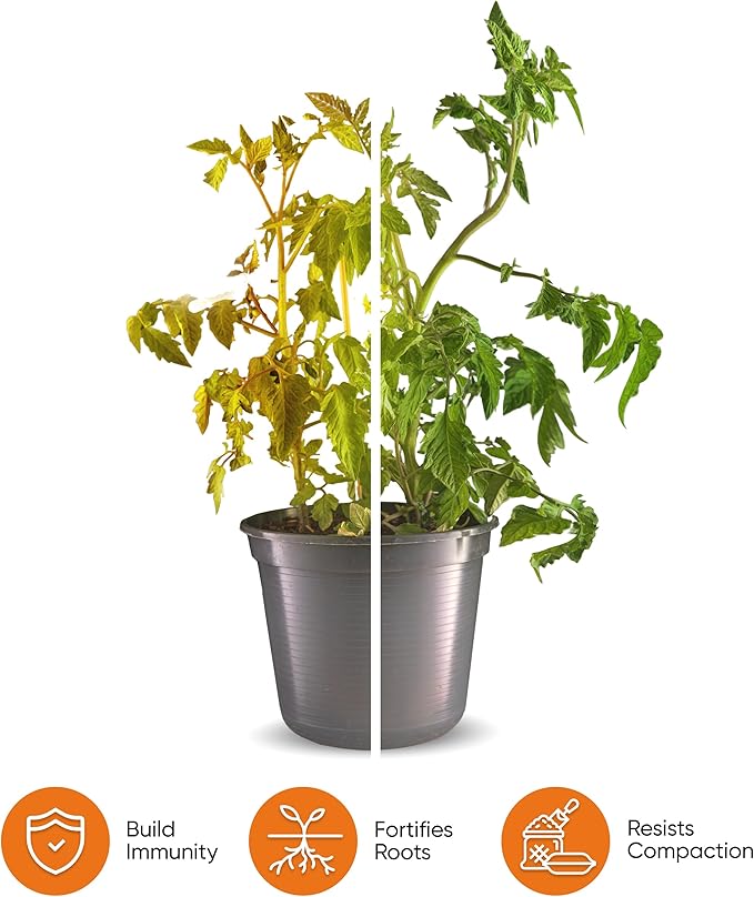 Molly's Succulent Mix - Premium Gritty Soilless Potting Mix for Succulents, Cactus and Bonsai - Contains Akadama, Hyuga, Bark Fines, Pumice, Lava Rock, Mycorrhizae 5.5 Liters