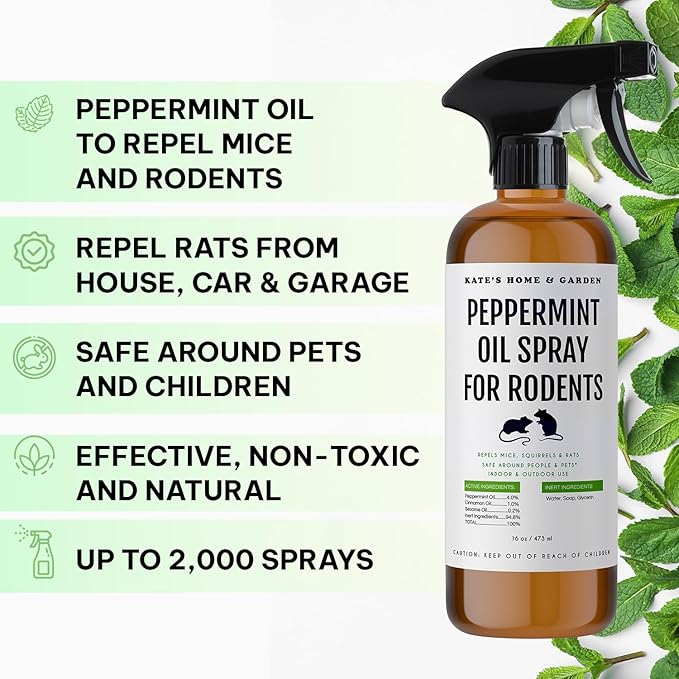 Kate Naturals Peppermint Oil Spray for Rodents, Squirrels, Mouse, Bat, Rat, Car Engines (16oz, Non-Toxic, Pet Safe)