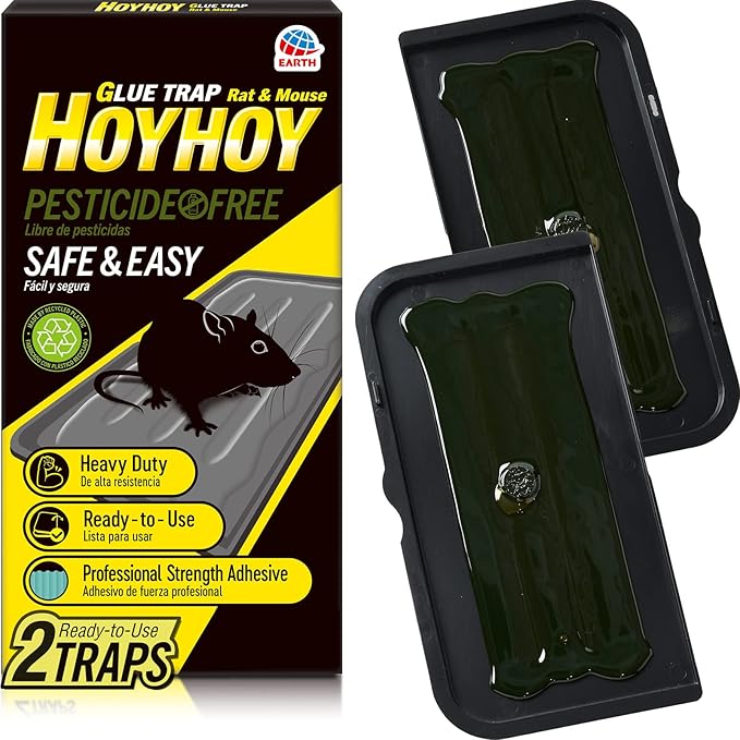 HOY HOY Regular Size Rat & Mouse Indoor/Outdoor Glue Trap (1 Pack)