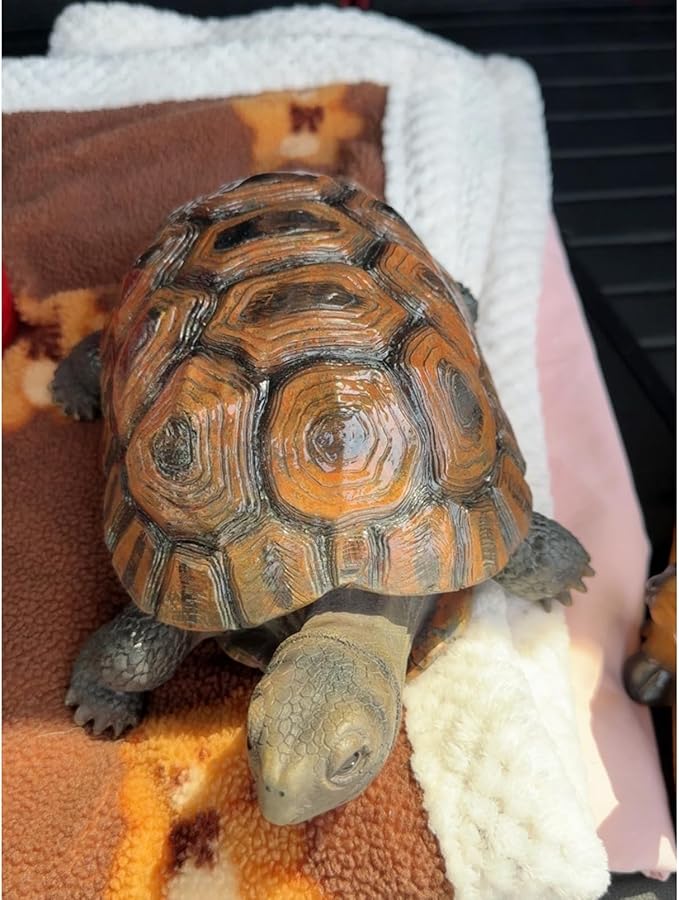 AETVRNI Turtle Figurine Garden Statue Resin Animal Sculpture Realistic Turtle of Polyresin Garden Patio Lawn Yard Outdoor Decorative,M