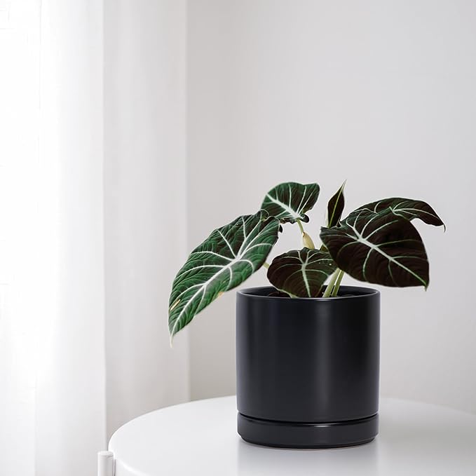 D'vine Dev 3 Inch & 4 Inch & 6 Inch, Set of 3 Round Ceramic Planter Pot with Drainage Hole and Saucer, Black, 94-T-S-2