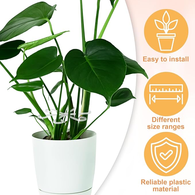 8PCS Plant Stem Support, 4 Sizes Climbing Houseplant Stem Holders, Plastic Reusable Flower Trellis Stem Hook Plant Care Growth Accessories for Flower Plants Indoor Outdoor- Green, Clear