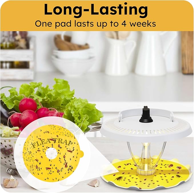 Flea Trap for Inside Your Home Indoor Electric Flea Light Catcher and Kiler for House 2 Pack with 8 Sticky Pads Refills and 4 Replacement Lightbulb