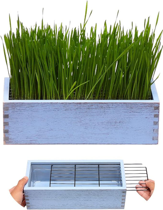 Wooden Cat Grass Planter (no Seeds Included) with Anti Digging Design, and Removable Plastic Liner, Wheat Grass Growing Pot, Cat Grass for Indoor Cats Pets (Vintage Blue)