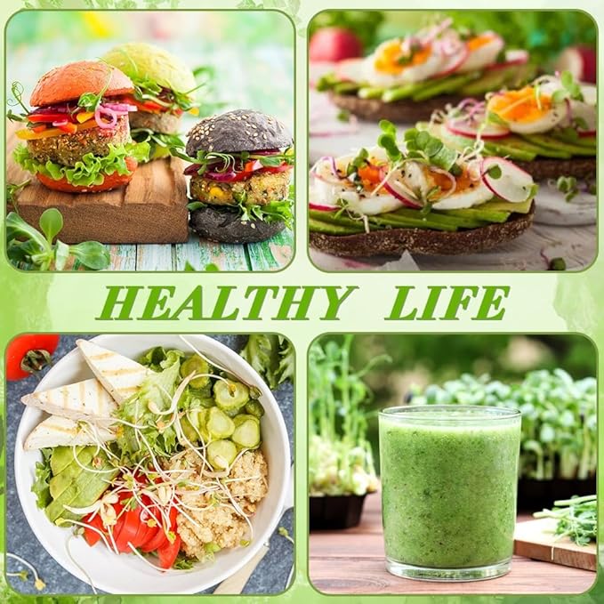 Picowe Stainless Steel Sprouting Trays Seed Sprouting Kit with Stainless Steel Mesh Tray Seed Starter Tray Seed Sprouting Kit (2pack, 10.4 x 7.7inch)