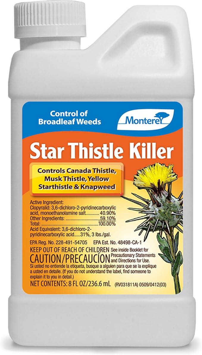 Monterey LG5468 0.5 PT Star Thistle, 8 Ounce