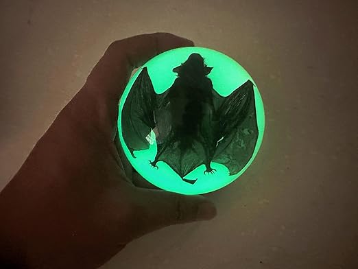 Real Bat Specimens, Resin Animal Specimens, Animal Skulls, Quirks, Biology, for Animal Specimen Enthusiasts, Science Classroom Science Education (Luminous Bat 3.5x3.5x1.5 inch)