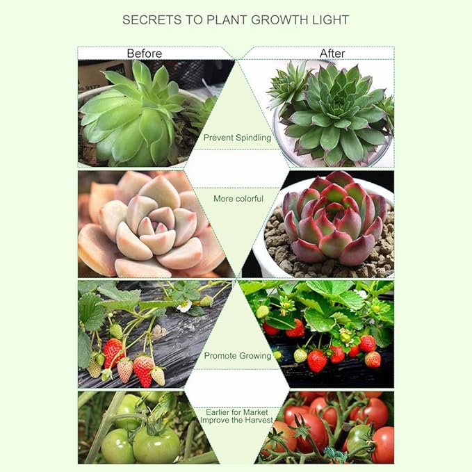 60W Led Plant Grow Lights for Indoor Plants, LED Grow Lamp Bulbs Plant Lights Full Spectrum with Adjustable Neck, Auto ON Off with 3/9/12H Timer Clip-On Desk Grow Lamp for Veg/Flowers