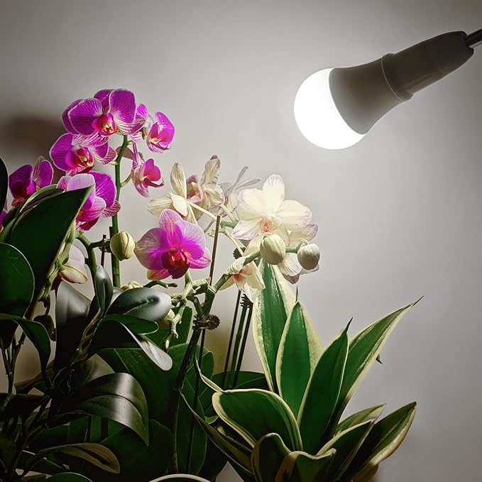 Grow Light Bulbs 5000K, LED Grow Light Bulb A19, Full Spectrum Light Bulb, Grow Bulb E26 Base, 11W Plant Light Bulbs 100W Equivalent, Grow Light Bulb for Indoor Plants, Flowers, Greenhouse, 2 Pack