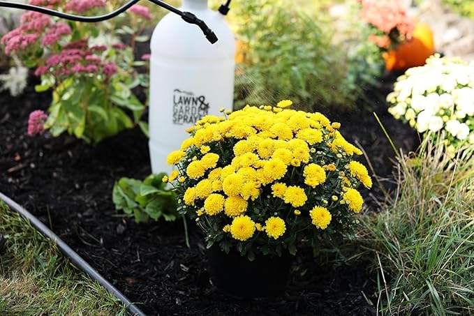 Flo-Master by Hudson 2 Gallon Lawn & Garden Sprayer