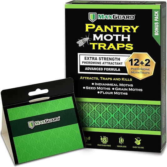 MAXGUARD Pantry Moth Traps (12 Pack +2 Free) with Extra Strength Pheromones | Non-Toxic Sticky Glue Trap for Food and Cupboard Moths in Your Kitchen | Trap and Kill Seed Grain Flour Meal Moths |