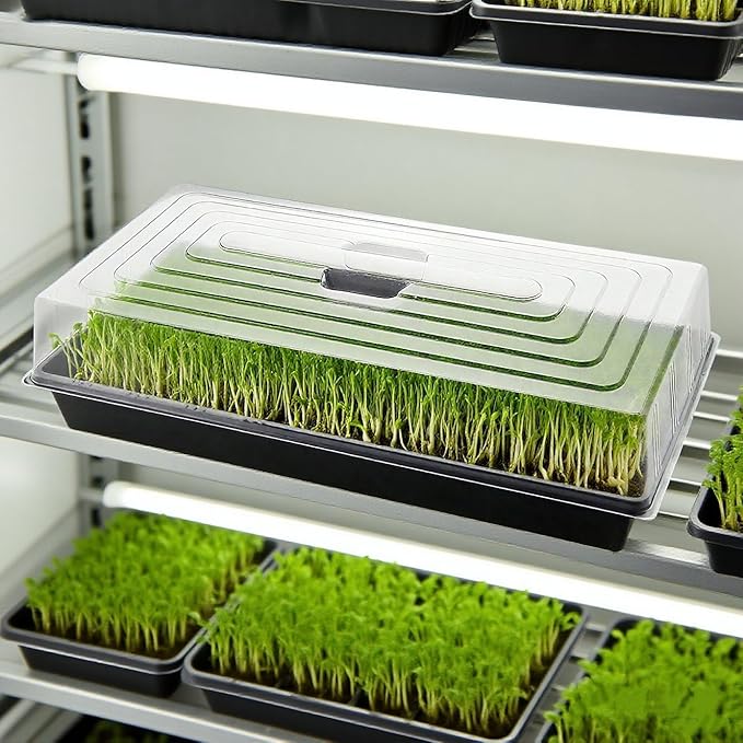 5-Pack 1020 Seed Trays with Humidity Domes - Reusable Heavy Duty Plant Propagation Trays, 3.6" 1020 Clear Greenhouse Covers & Handle for Seedlings, Cloning, Microgreens (No Holes Design)