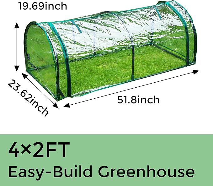 4 x 2 FT Greenhouse for Outside, Clear