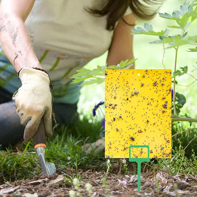 30Pcs Dual-Sided Yellow Sticky Traps for Plant Gnats - Waterproof Fly Paper Outdoor Indoor for Fungus Gnat Trap, Fly Tape Outdoor for Whiteflies, Aphids, Leafminers, Fruit Sticky Traps