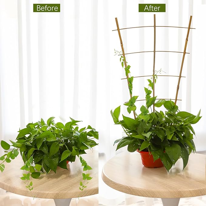 Bamboo Garden Trellis - 24 Inches Tall, 3 Pack - Perfect for Climbing Plants, Vegetables, and Pots - Enhance Your Garden with Natural Bamboo ，2Ft Plant Trellis Indoor