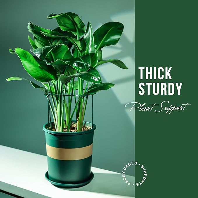 LEOBRO Plant Support, 8PCS Peony Cages and Supports, Plant Stakes for Indoor Plants, Outdoor Plants, Plant Holders, Tomato Monstera Hydrangea Support Cage, 10" W x 15.8" H