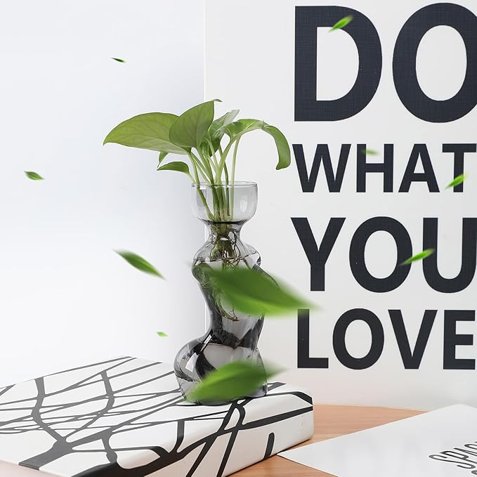 Propagation Vases for Plants Plant Propagation Jars Unique Body Avocado Vase Glass Planter Perfect for Seed Starting Water Rooting and Home Decor Gift for Father