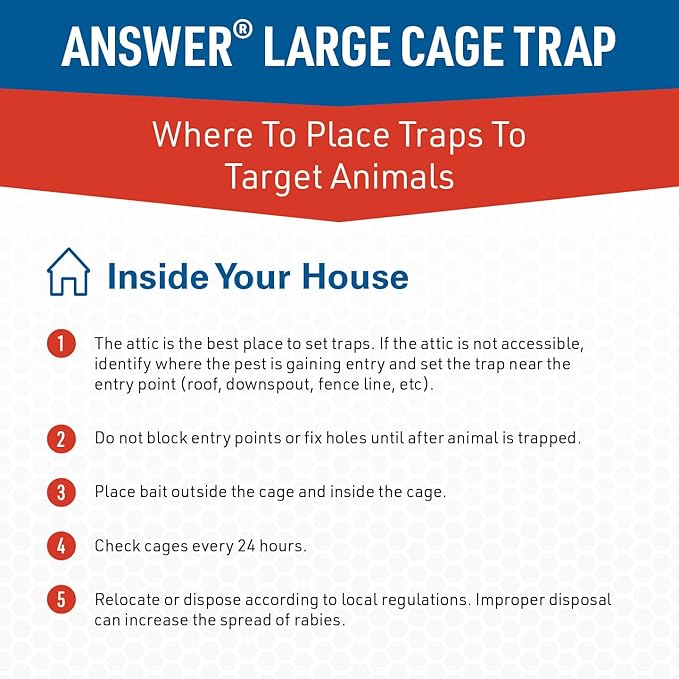 Answer Live Catch Trap for Raccoons, Groundhogs & Other Large Pests – Heavy-Duty Humane Cage Trap – Durable and Easy-to-Use Wildlife Control Solution