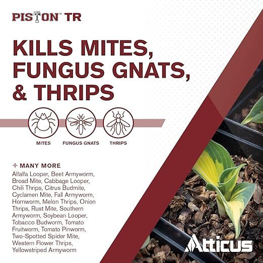 Atticus Piston TR Greenhouse Fogger (Compare to Pylon) (12 Pack) - Total Release Chlorfenapyr Insecticide/Miticide - Controls Mites, Thrips, Caterpillars, and Adult Fungus Gnats