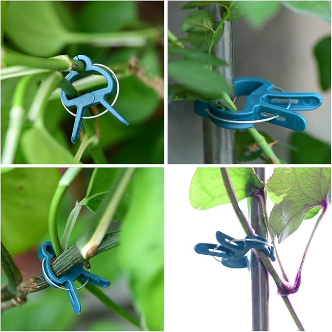 60PCS Plant Clips 2 Sizes Adjusting Reusable Garden Plant Supports Clips for Supporting Stems of Flower Vine Vegetables Tomatoes Climbing