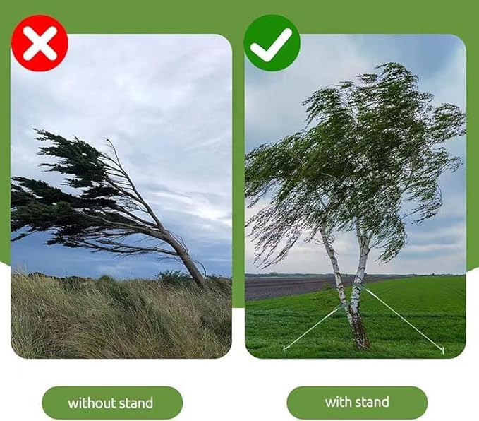 Heavy Duty Steel Tree Stake Kits Tree Stakes and Supports for Leaning Trees Tree Staking and Support Kits for Young Tree Against Bad Weather (1, 12 in)